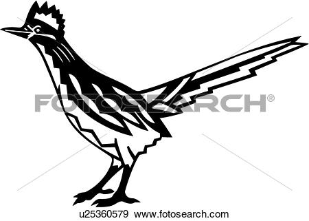 bird, roadrunner, southwest, - Roadrunner Clip Art