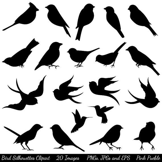 Bird Silhouettes Clip Art Clipart, Bird Clip Art Clipart - Commercial and Personal via Etsy