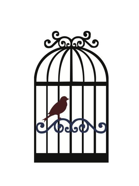 bird cage: antique empty bird