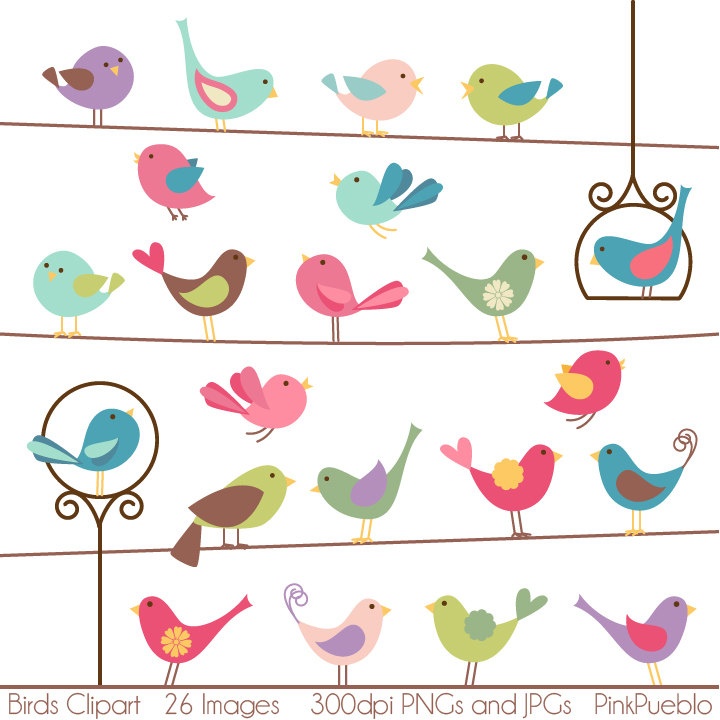 Birds Clipart Clip Art - Commercial and Personal Use. $6.00, via Etsy.