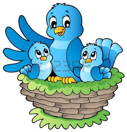 birds nest: Bird theme image 3 - vector illustration. Illustration