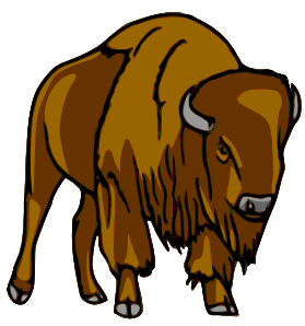 Buffalo Usgs Animals B Buffal