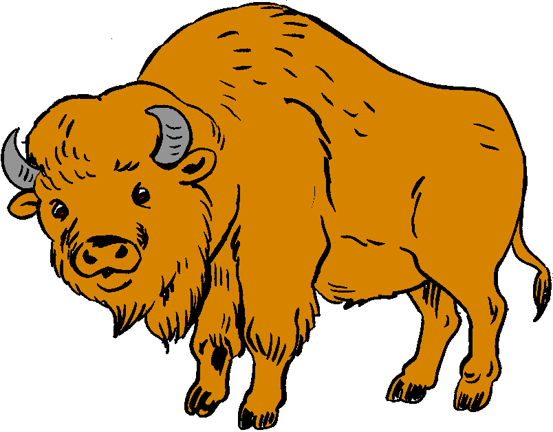 bison clipart #76