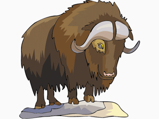 bison clipart #76