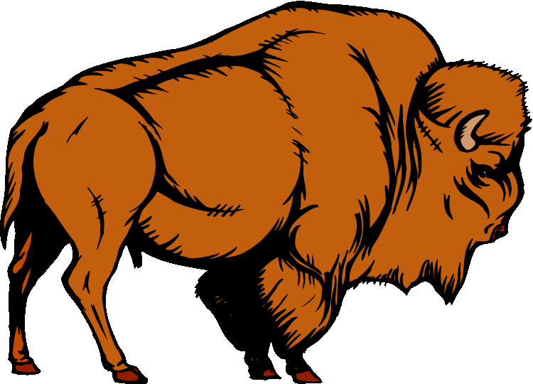 Clipart - Bison . Fotosearch 