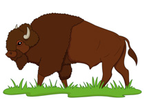 bison on praire clipart. Size: 99 Kb