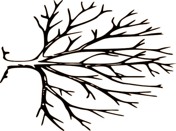 Black And White Bare Tree Clipart Free Clipart