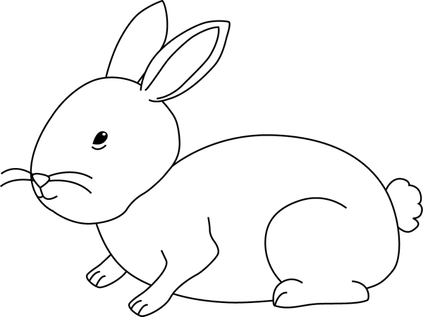 Black and White Bunny Rabbit - Bunny Clipart Black And White