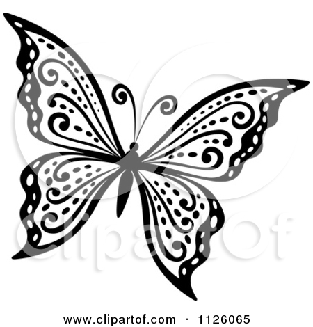 ... Black And White Butterfly - Black And White Butterfly Clipart