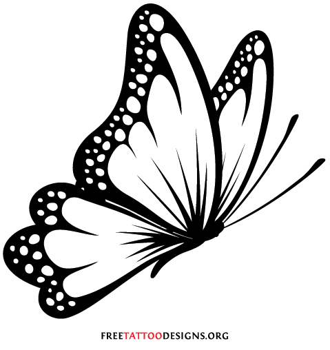 Black and white butterfly . - Butterfly Clipart Black And White