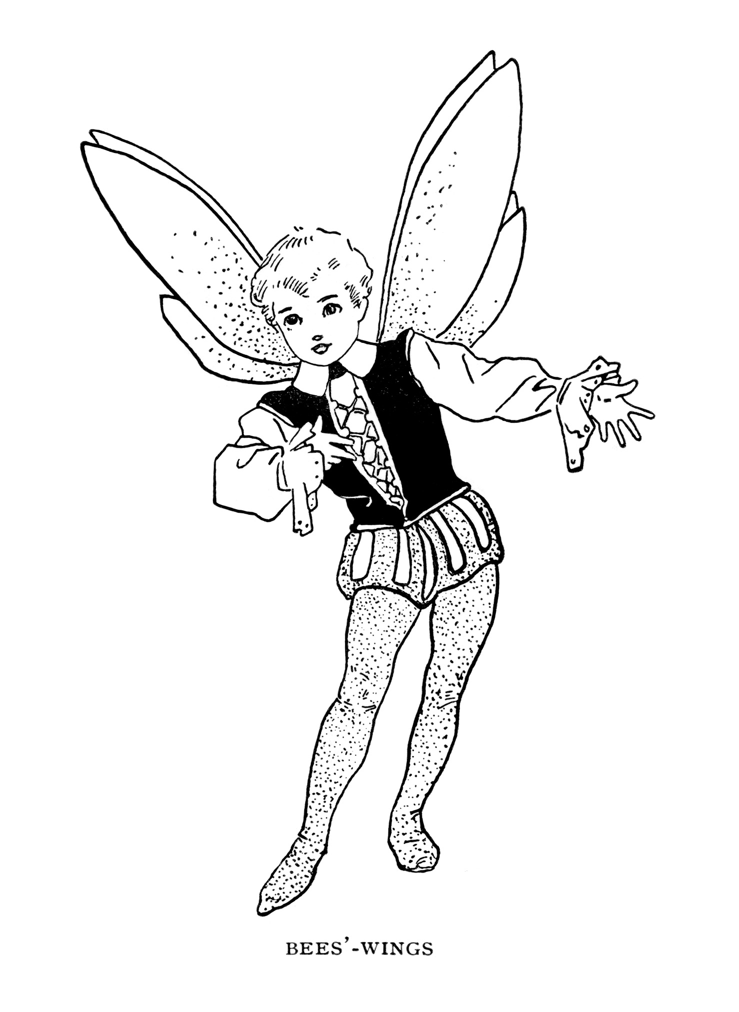 Black And White Clip Art Butterfly Fairy Image Storybook Fairy