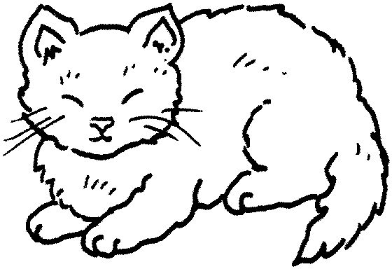Black and white clip art . - Cat Clipart Black And White