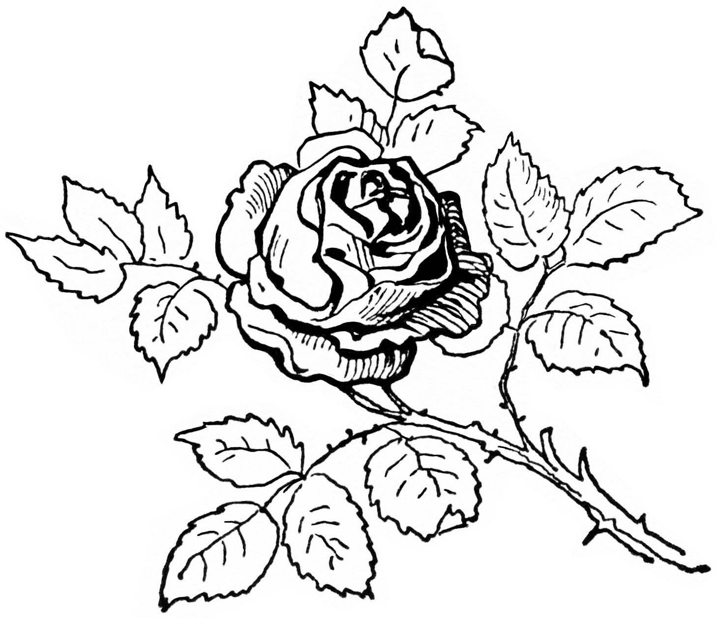 Black And White Clip Art Digital Rose Graphic Printable Rose Image