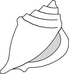 Black and white clip art of aabalone shell - Yahoo Search Results Yahoo Canada Image Search