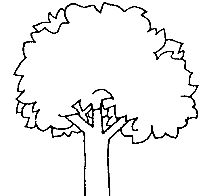 Tree Black Amp White Clip Art