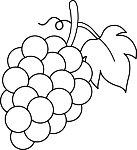 Black And White Fruit Clipart .