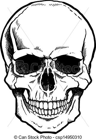 ... Black and white human skull with jaw - Black and white human.