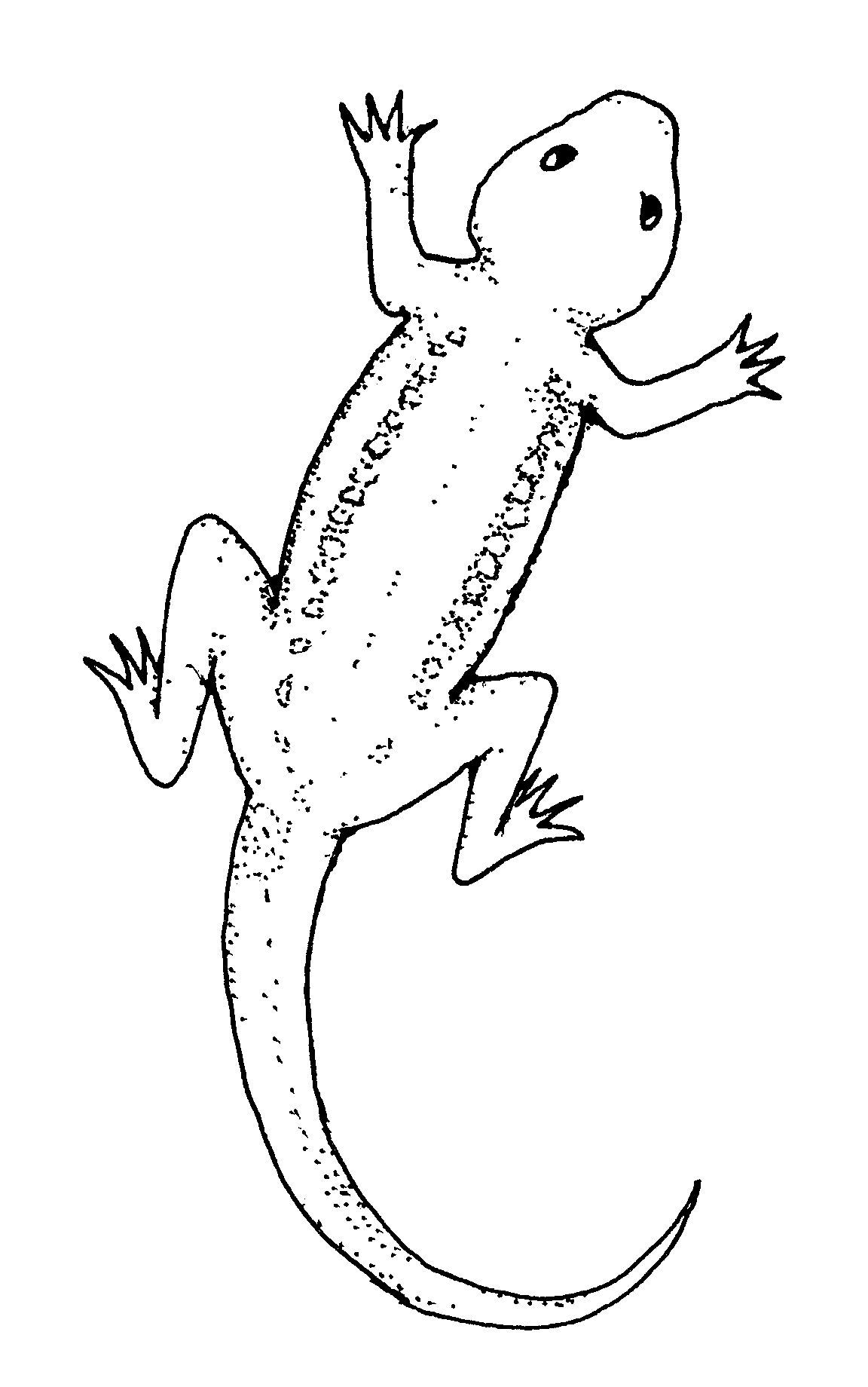 Black and white lizard clipart