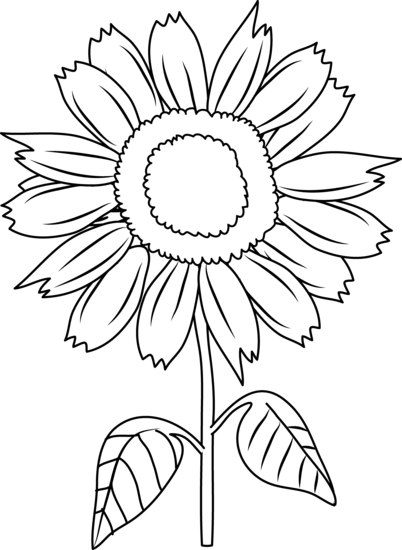 Black and white sunflower clip .