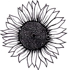 Sunflower Clipart Black And W