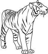 Black And White Tiger Clipart - Tiger Clipart Black And White