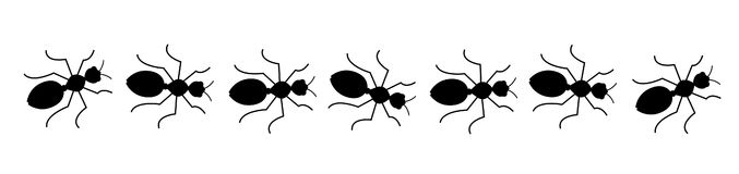 Black ants line Royalty Free Stock Images