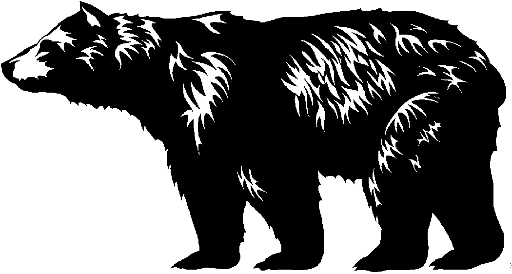 Outline Of Black Bear Photos 