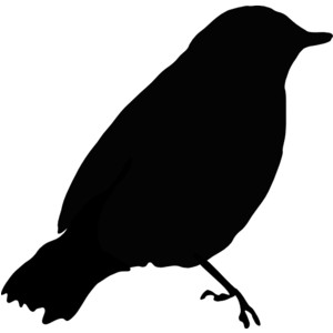 Black Bird clip art - vector .