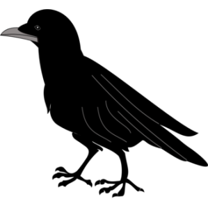 bird clipart silhouette .
