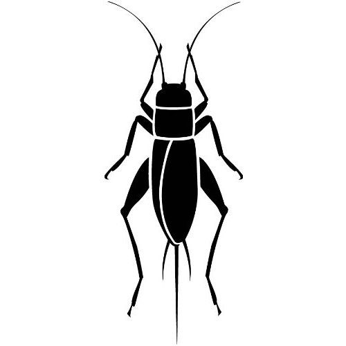 Black Cricket Insect Clipart - clipartsgram clipartall.com