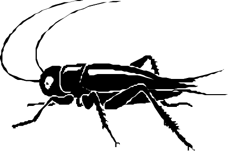 Black Cricket Insect Clipart # .