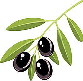 ... black olives ... - Olive Clip Art