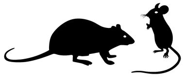 Rat Clipart Black And White F