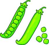 Corn And Soybean Clipart #1