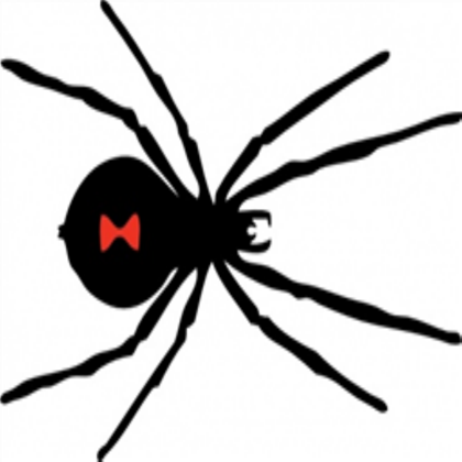 black-widow-spider-clip-art