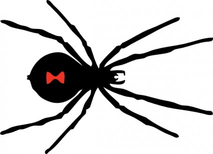 Black widow spider icon isola