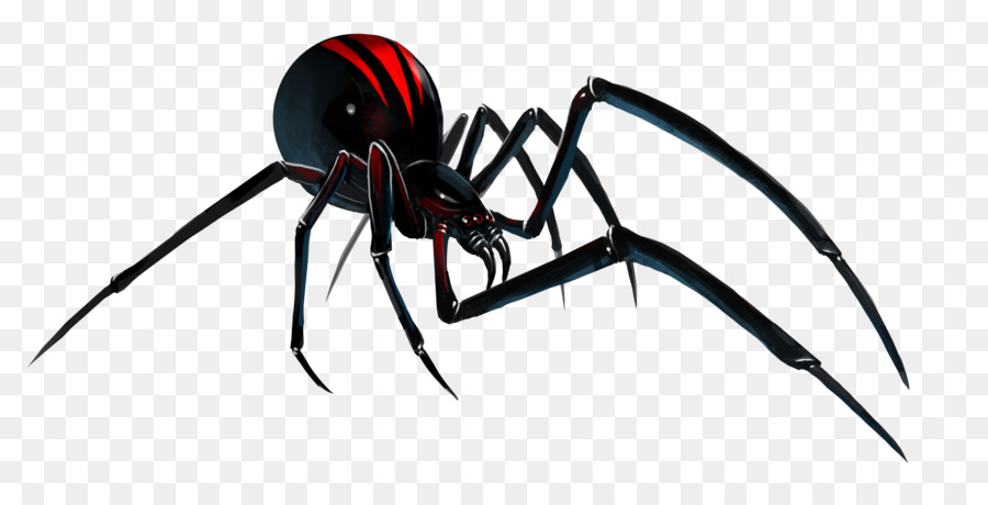 Southern black widow Redback spider Clip art - Black Widow Spider PNG File