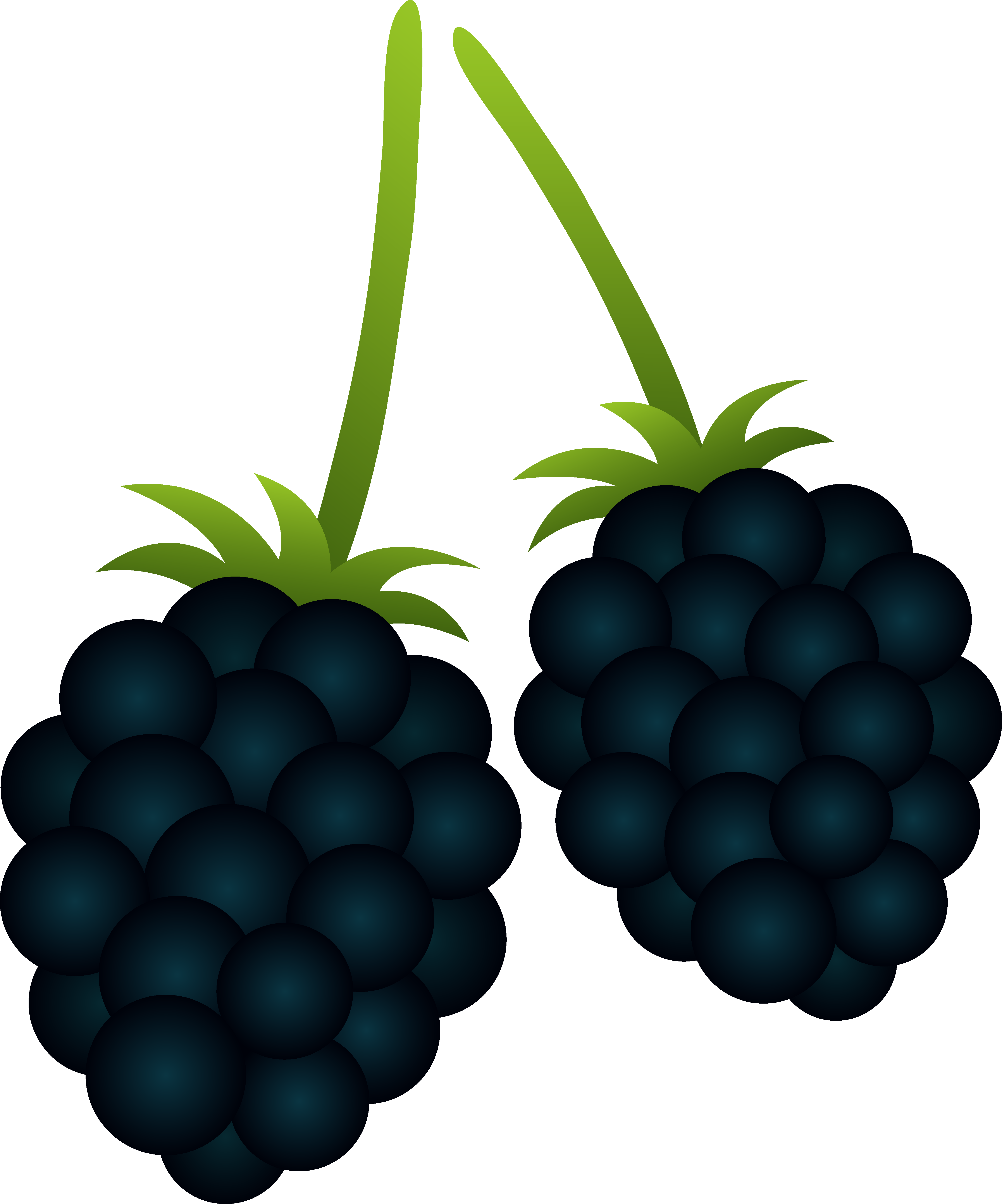 Free Blackberries Clipart