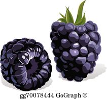 Blackberry clip art