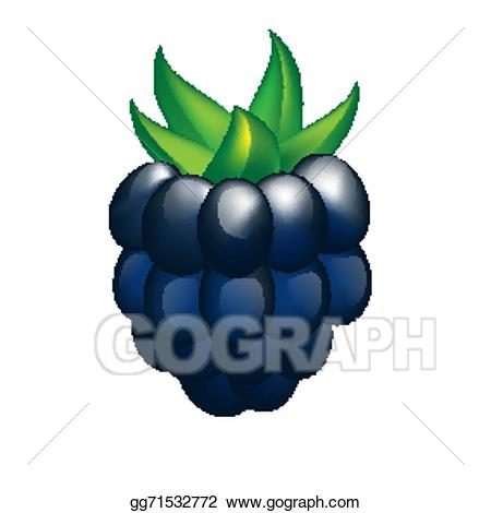 Clipart for blackberry