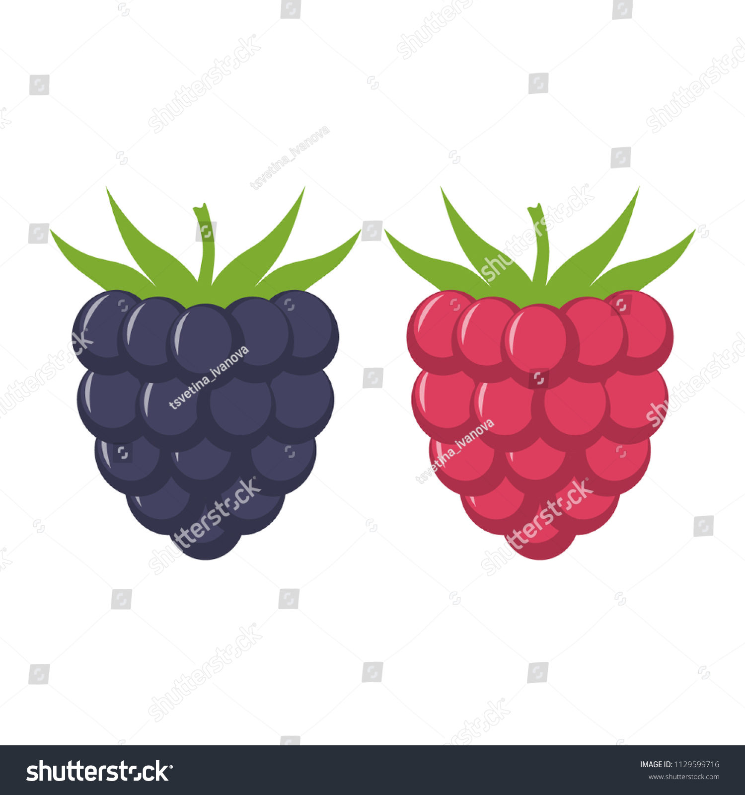 Blackberry and raspberry with leaves vector icon. Blackberry and raspberry  icon clipart. Blackberry and