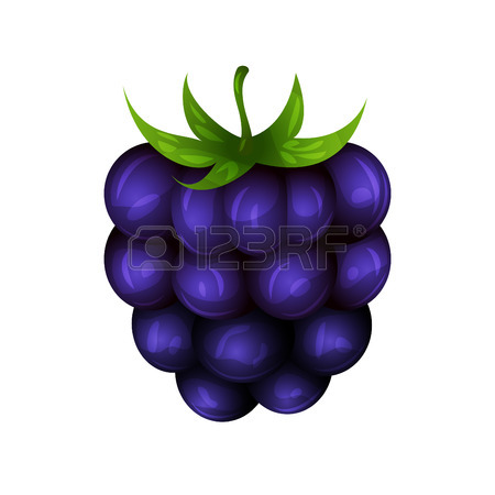 Blackberry Clipart Image