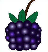Free Blackberries Clipart - Blackberry Clipart