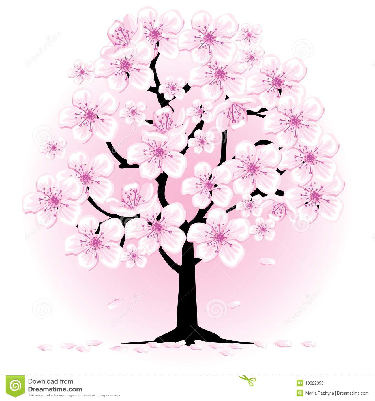 Blossom Cherry Tree Royalty .