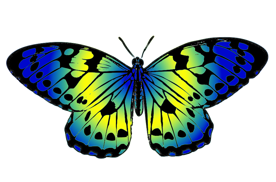 ... blue and yellow butterfly clip art
