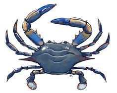 Blue crab pictures clip art - .