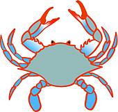 blue crab white background; blue claw crab