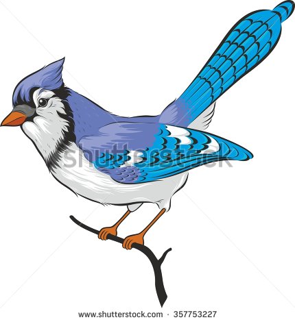 ... Cartoon Blue Jay Walking 