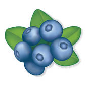 Blueberries - Blueberry Clip Art