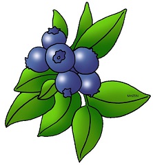 ... blueberry fruits cartoon 